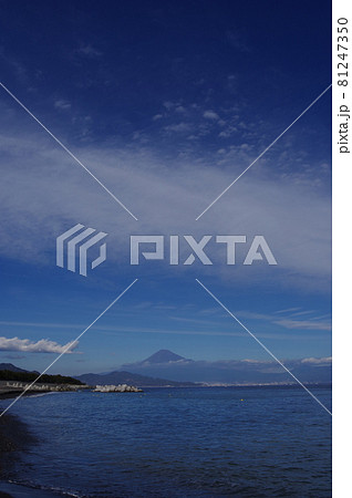 三保からの富士山　撮影場所：三保松原付近（静岡県静岡市） 81247350