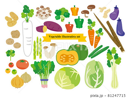 シンプルな野菜のイラストセット 81247715