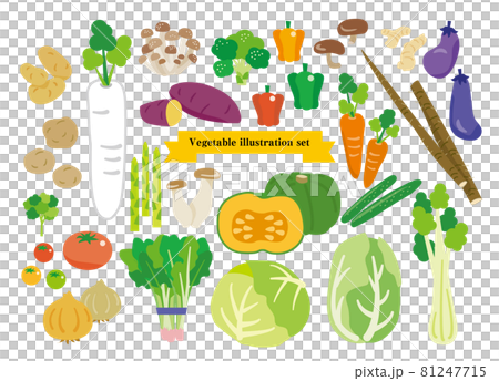 簡單的蔬菜插圖集 簡單的蔬菜插圖集 81247715