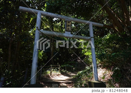神明社 神明社 81248048