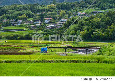 南足柄市内山の里風景 81248277