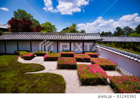 東福寺の新緑2021年 東福寺の新緑2021年 81248362
