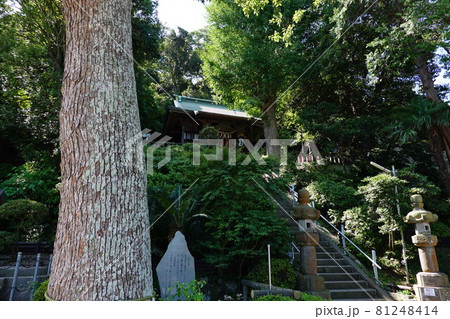 走水神社 81248414