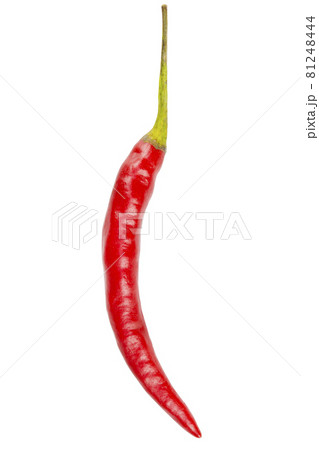 red chili pepper isolated on a white background red chili pepper isolated on a white background 81248444