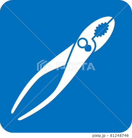 プライヤーのピクトグラム 81248746