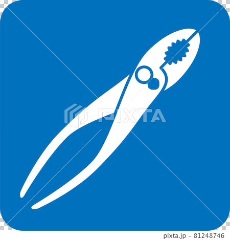 プライヤーのピクトグラム 81248746