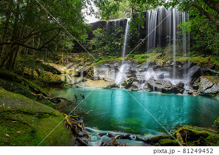 Beautiful waterfall landscape. Waterfall in forest at phukradung national park in loei province asia southeast asia Thailand 81249452