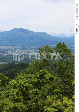 斑尾山・大明神岳から見た北信五岳の山々 81249624