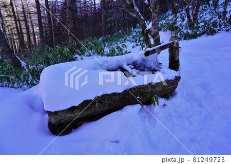冬の空木岳池山小屋付近の凍結した水場 81249723