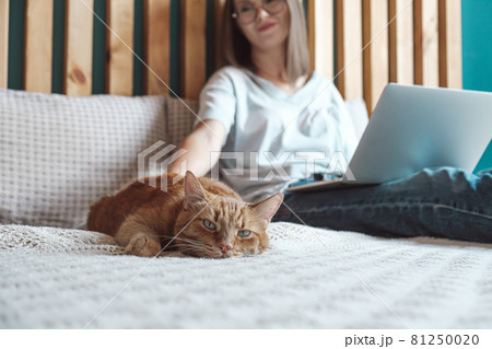 Flexible hours and remote work, Domestic cat lies on the bed, woman using laptop to work, lying in the bedroom, at home Flexible hours and remote work, Domestic cat lies on the bed, woman using laptop to work, lying in the bedroom, at home 81250020
