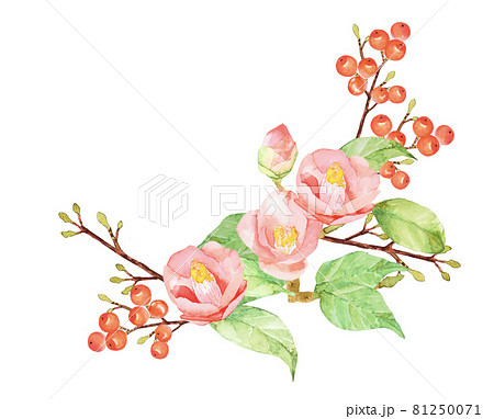 椿と南天の正月飾り水彩イラスト 他バリエーションあります 椿と南天の正月飾り水彩イラスト 他バリエーションあります 81250071