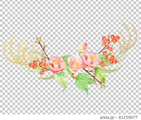 椿と南天の正月飾り水彩イラスト　他バリエーションあります 81250077