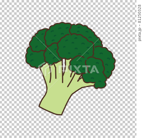 Broccoli Vegetables Agricultural Products Stock Illustration