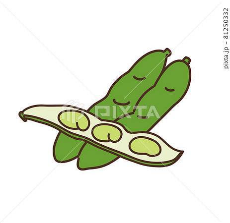 そら豆 野菜 農産物 イラスト そら豆 野菜 農産物 イラスト 81250332