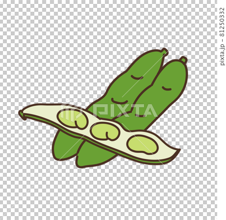 そら豆 野菜 農産物 イラスト そら豆 野菜 農産物 イラスト 81250332