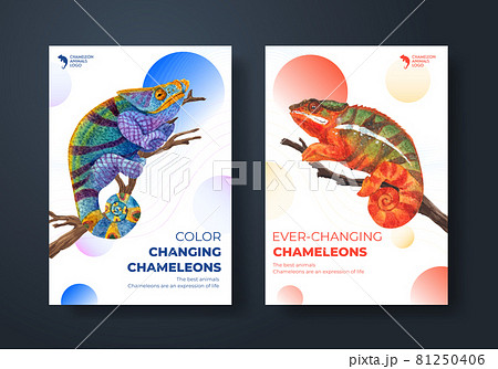 Poster template with chameleon lizard concept,watercolor style 81250406