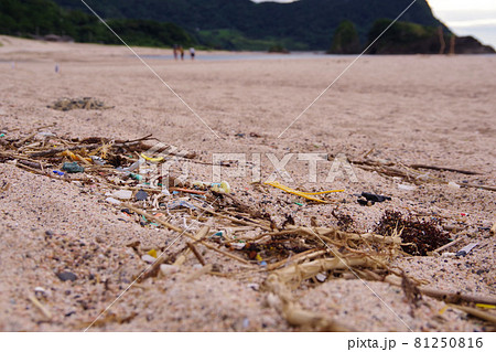 廃プラ 砂浜に打ち上げられたプラスチックゴミ マイクロプラスチック 環境破壊 環境問題 廃プラ 砂浜に打ち上げられたプラスチックゴミ マイクロプラスチック 環境破壊 環境問題 81250816