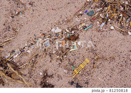 廃プラ 砂浜に打ち上げられたプラスチックゴミ マイクロプラスチック 環境破壊 環境問題 廃プラ 砂浜に打ち上げられたプラスチックゴミ マイクロプラスチック 環境破壊 環境問題 81250818