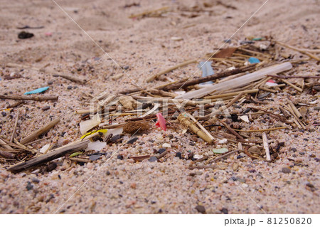 廃プラ 砂浜に打ち上げられたプラスチックゴミ マイクロプラスチック 環境破壊 環境問題 廃プラ 砂浜に打ち上げられたプラスチックゴミ マイクロプラスチック 環境破壊 環境問題 81250820