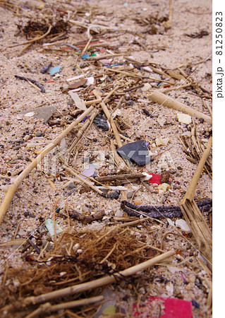 廃プラ 砂浜に打ち上げられたプラスチックゴミ マイクロプラスチック 環境破壊 環境問題 廃プラ 砂浜に打ち上げられたプラスチックゴミ マイクロプラスチック 環境破壊 環境問題 81250823