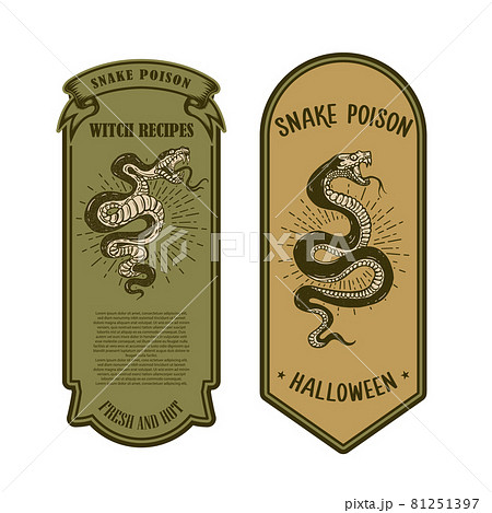 Halloween snake poison. Bottle label template. Design element for poster, card, banner, sign. Vector illustration Halloween snake poison. Bottle label template. Design element for poster, card, banner, sign. Vector illustration 81251397