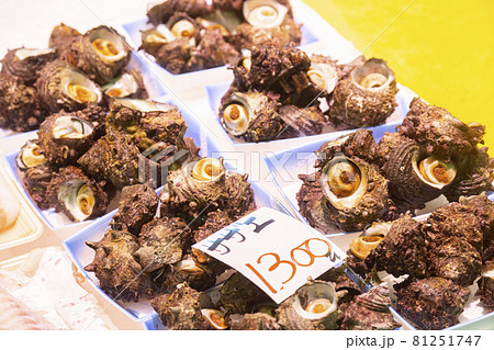 市場のサザエ 81251747