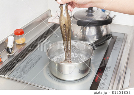 タコを茹でる男性の手元 81251852