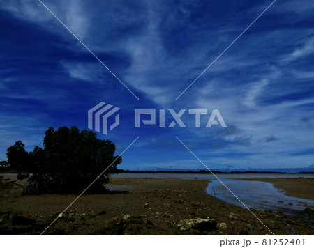 沖縄県宮古島 河口風景 沖縄県宮古島 河口風景 81252401