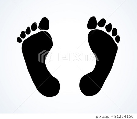 Foot. Vector drawing Foot. Vector drawing 81254156