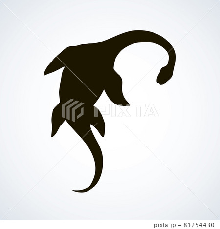 Plesiosaur dinosaur. Vector drawing 81254430