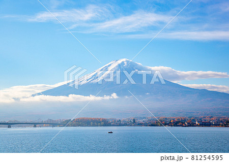 富士山 (11月 河口湖 晴れ) 富士山 (11月 河口湖 晴れ) 81254595