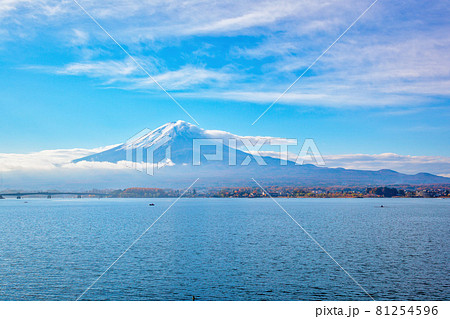 富士山 (11月 河口湖 晴れ) 富士山 (11月 河口湖 晴れ) 81254596