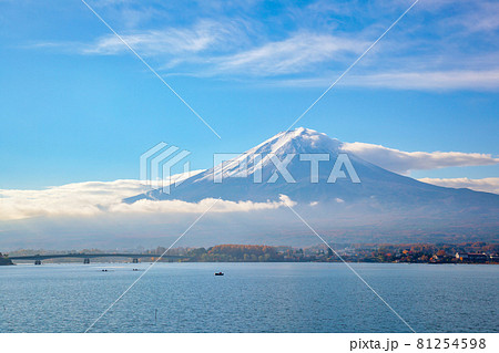 富士山 (11月 河口湖 晴れ) 富士山 (11月 河口湖 晴れ) 81254598
