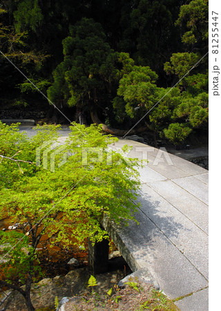 日吉神社　走井橋　滋賀県大津市坂本 81255447