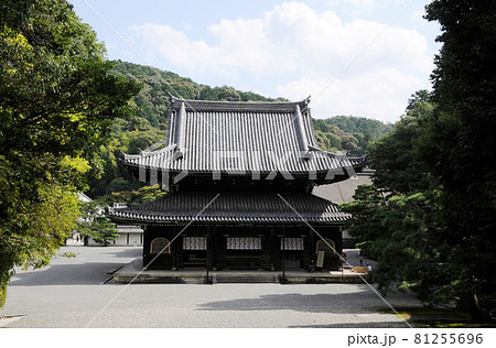 泉涌寺　仏殿　京都市東山区 81255696