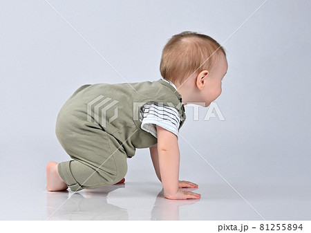 Cute baby girl crawling isolated on white 81255894
