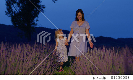 Adorable little cute daughter child kid walking with mother in lavender field, playing with flowers Adorable little cute daughter child kid walking with mother in lavender field, playing with flowers 81256033