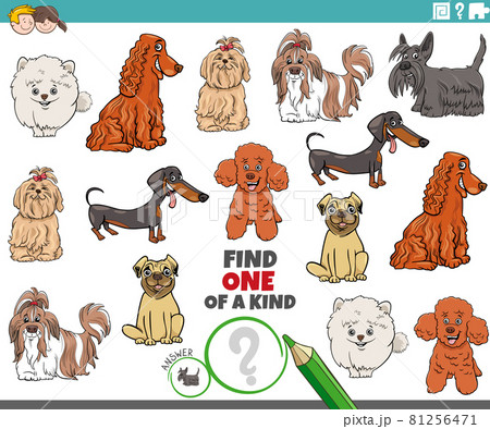 one of a kind game for children with cartoon purebred dogs one of a kind game for children with cartoon purebred dogs 81256471