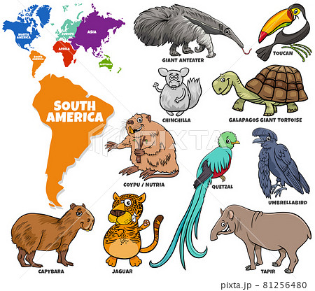 educational illustration of cartoon South... - Stock Illustration  [81256480] - PIXTA