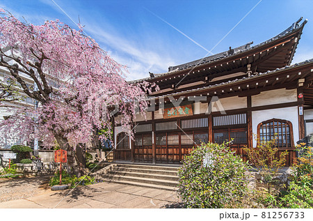 [東京・西日暮里] 花見寺で有名な谷中七福神の恵比寿を祀る青雲禅寺の仏殿と中庭。 81256733