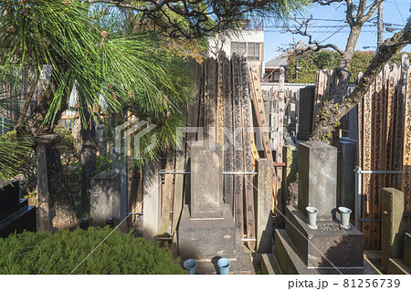 [東京・谷中] 長安寺墓地に立つ近代日本画画家狩野芳崖の墓石と卒塔婆。 81256739