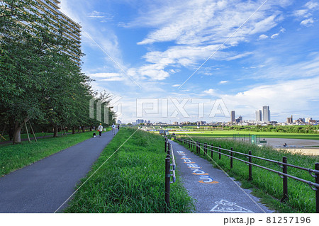ガス橋緑地沿い 多摩川土手と新川崎方面の眺望 東京都大田区 ガス橋緑地沿い 多摩川土手と新川崎方面の眺望 東京都大田区 81257196