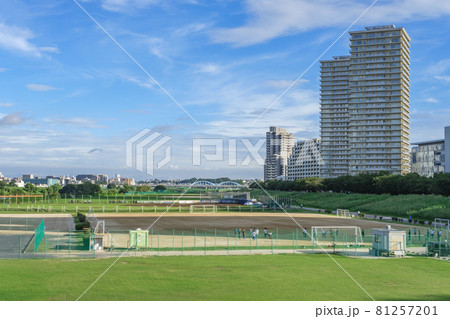 都市風景　多摩川ガス橋緑地の運動場とタワーマンション群　東京都大田区 81257201