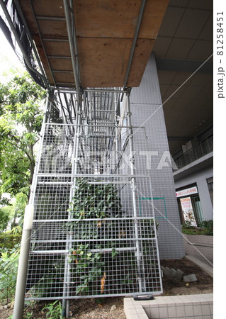 マンション大規模修繕足場工事、居住者から見た大規模修繕足場工事、安全第一、梅雨時には危険 マンション大規模修繕足場工事、居住者から見た大規模修繕足場工事、安全第一、梅雨時には危険 81258451
