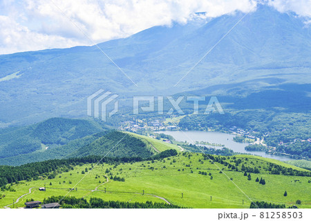 車山山頂から白樺湖を望む 81258503