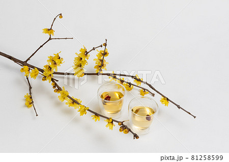 中国茶セット Set of the Chinese tea 中国茶セット Set of the Chinese tea 81258599