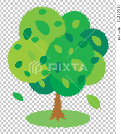 一棵綠樹 一棵綠樹 81259510