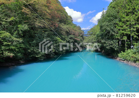 群馬県吾妻郡中之条町四万　桃太郎の滝付近の四万川の鮮やかな青色 81259620