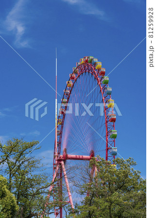 青空と観覧車 81259928