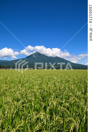 田園と磐梯山(福島県・猪苗代町) 田園と磐梯山(福島県・猪苗代町) 81259997